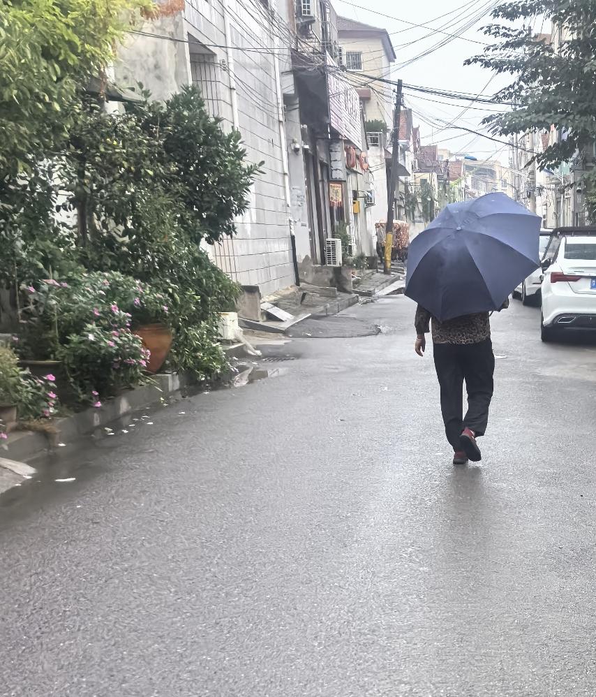 近70岁的树兰让只有几岁智商、坐在轮椅上的妮娃怀上二胎，心中真正不想要孩子的、心