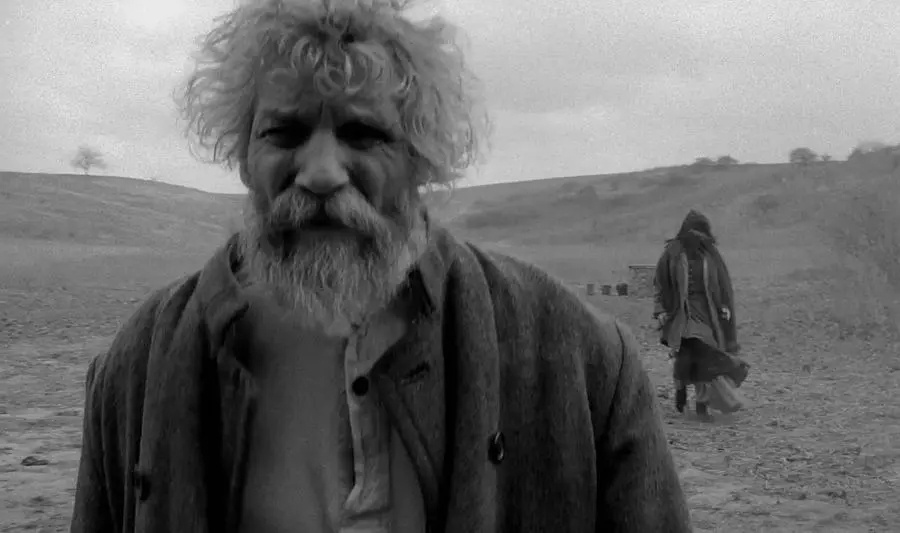 早安，“都灵之马” 