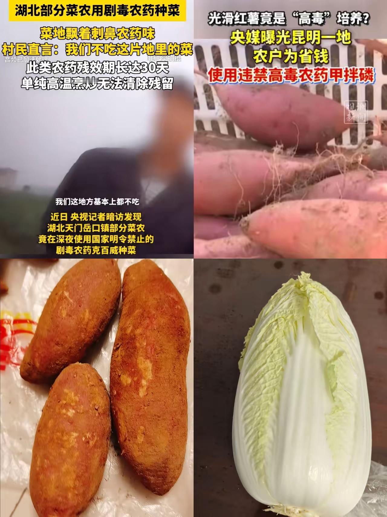 没想到啊，大白菜出问题后，
红薯也沦陷了。
快去检查一下家里的大白菜和红薯。
​