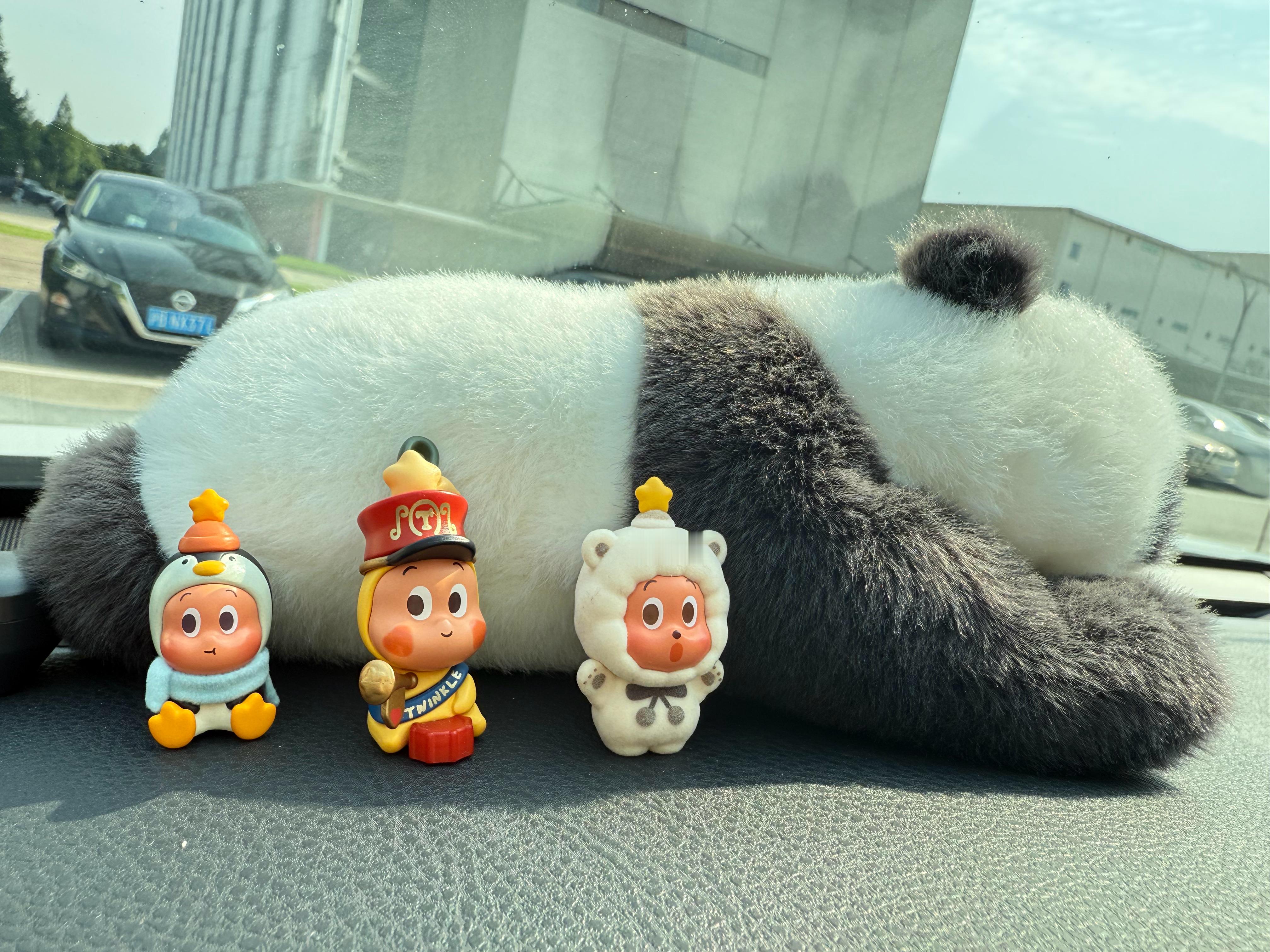 周四早安不内耗不抱怨只管努力搬砖