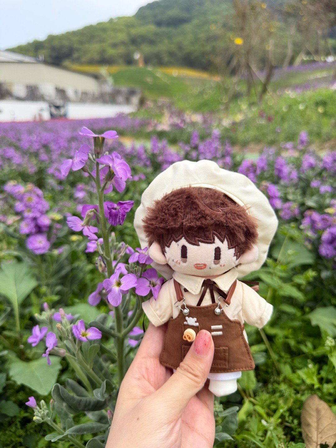 周深  昨晚一直在做梦，梦到自己找不到周可可旗舰店，一直到过了开抢时间还是找不到