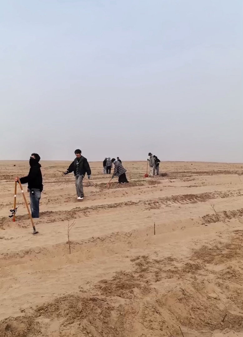 十个勤天要在沙漠种玫瑰 开屏就是沙漠种玫瑰，确实有点意外。少年们在挖坑埋枝，原来