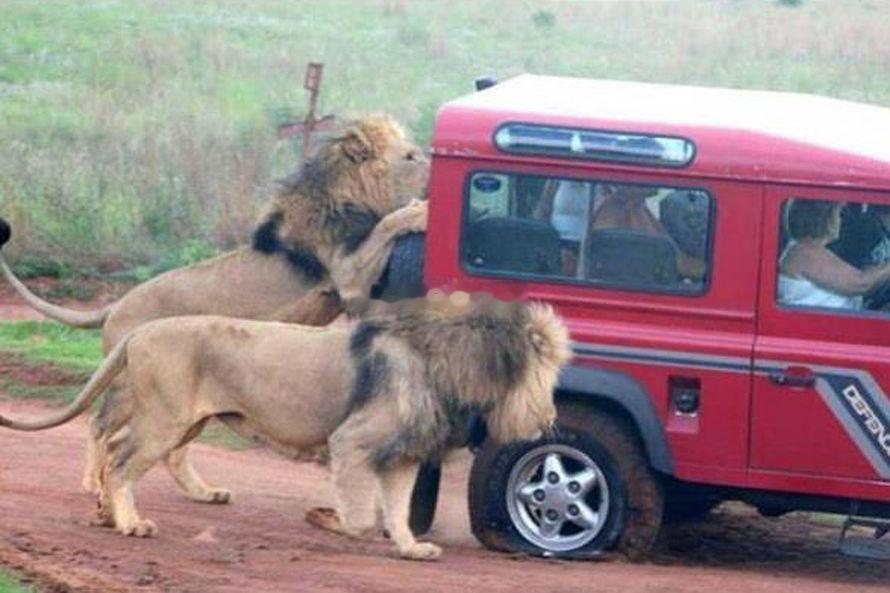 某新势力的新能源车失控，鉴定机构出具的报告显示刹车踏板失灵，未做到刹车优先，存在