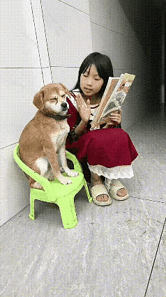 狗狗陪小主人读书