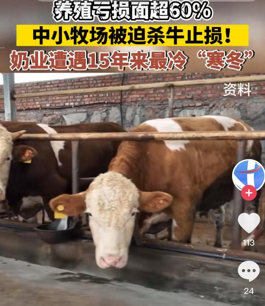 奶业面临 15 年来最难时刻，上游原奶行业亏损面超六成，中小牧场被迫杀牛止损
1