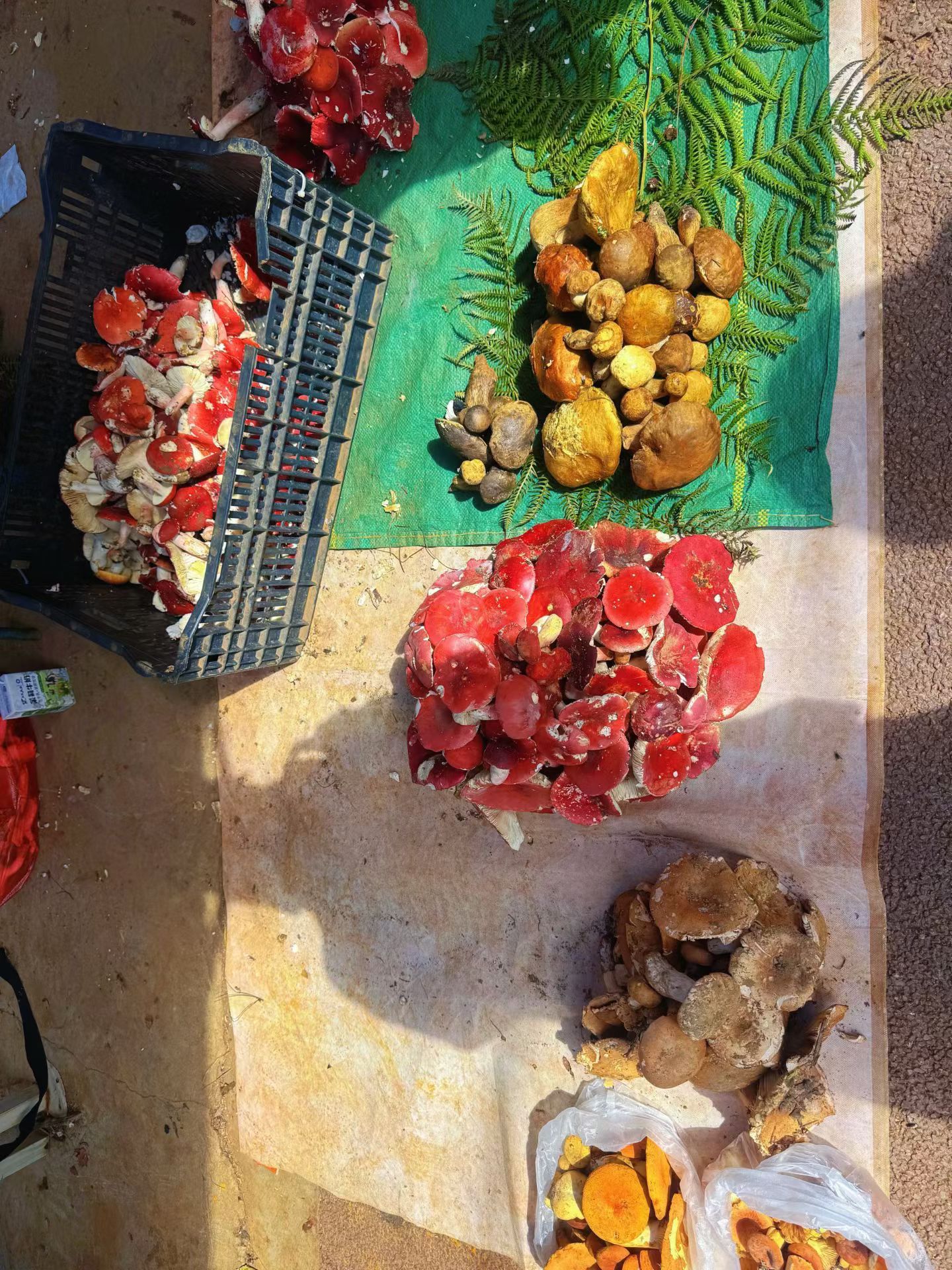 体验人间烟火，赶集了。喧闹的吆喝、新鲜的蔬果、热气腾腾的小吃，熙熙攘攘的人群，没