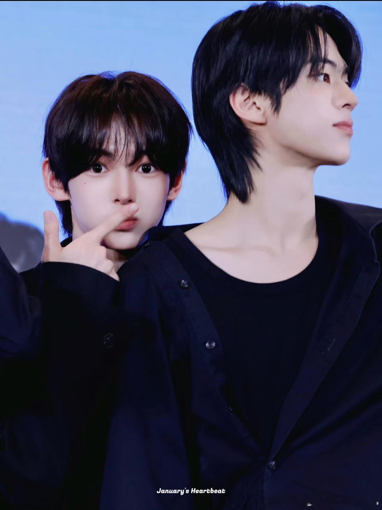 那些体型差巨大的cp 