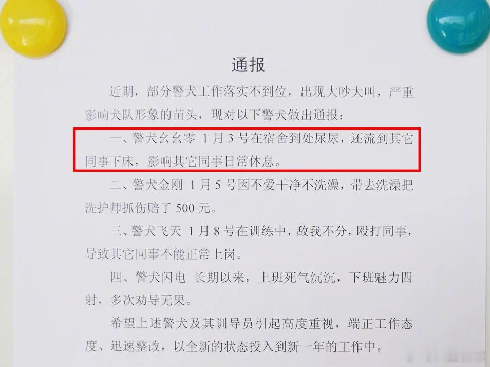 警犬上班不积极被通报批评[笑cry]上班死气沉沉，下班魅力四射，多次劝导无果 