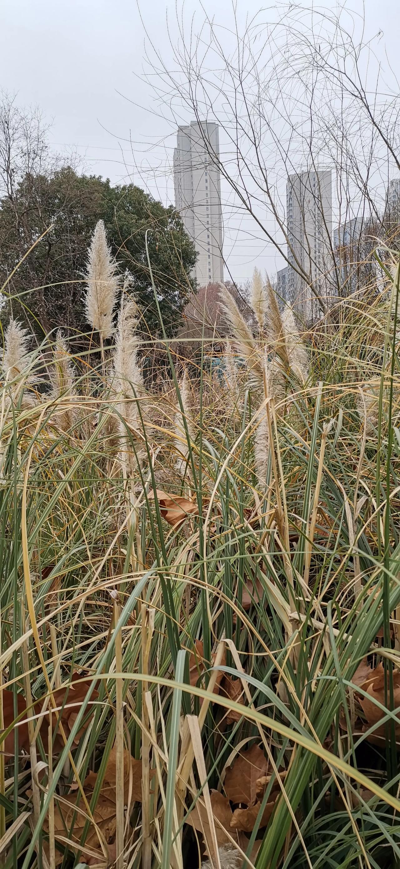 随手拍记录每一天。