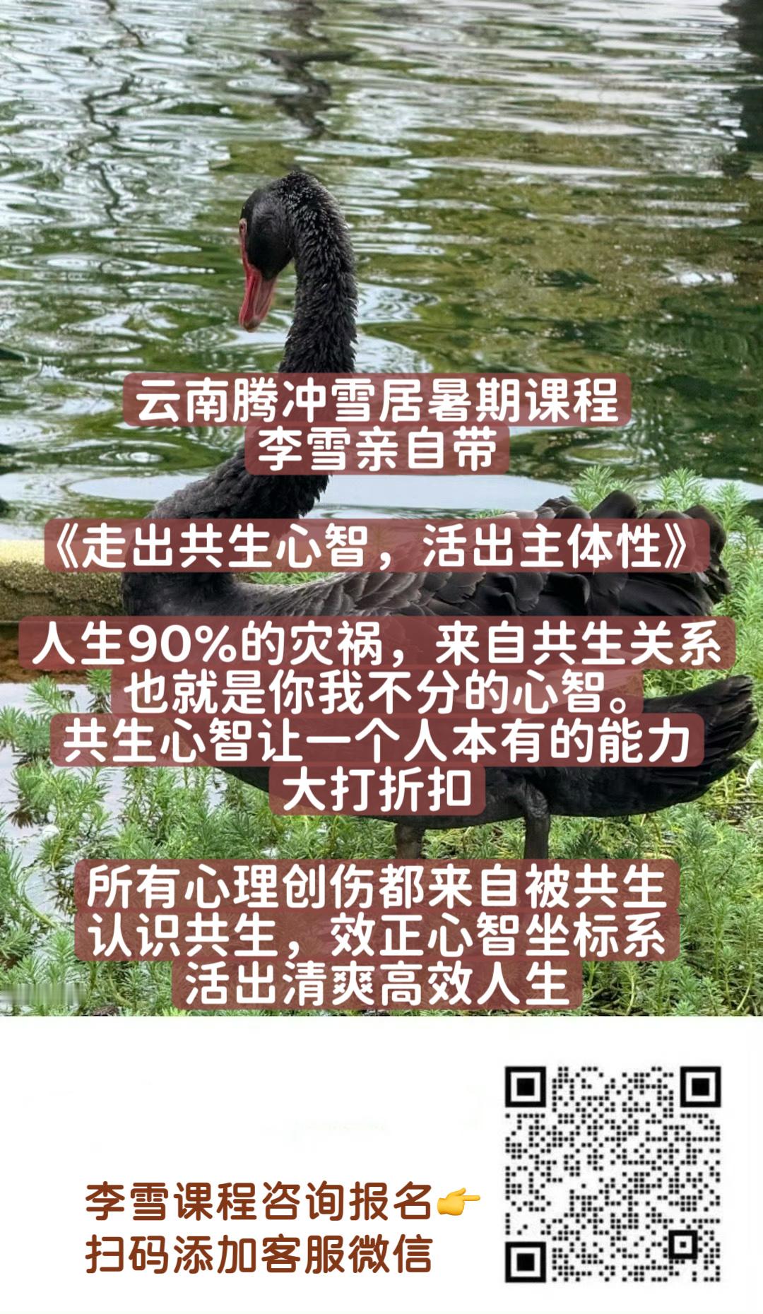 我智商最低的时候，是20多岁时，曾经有五六年时间，迷失在大师们的光和爱中，一会跟