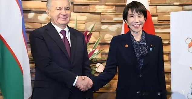 东京总算盼来日本与中亚五国的首次首脑峰会，这可是2004年就启动的对话机制，时隔