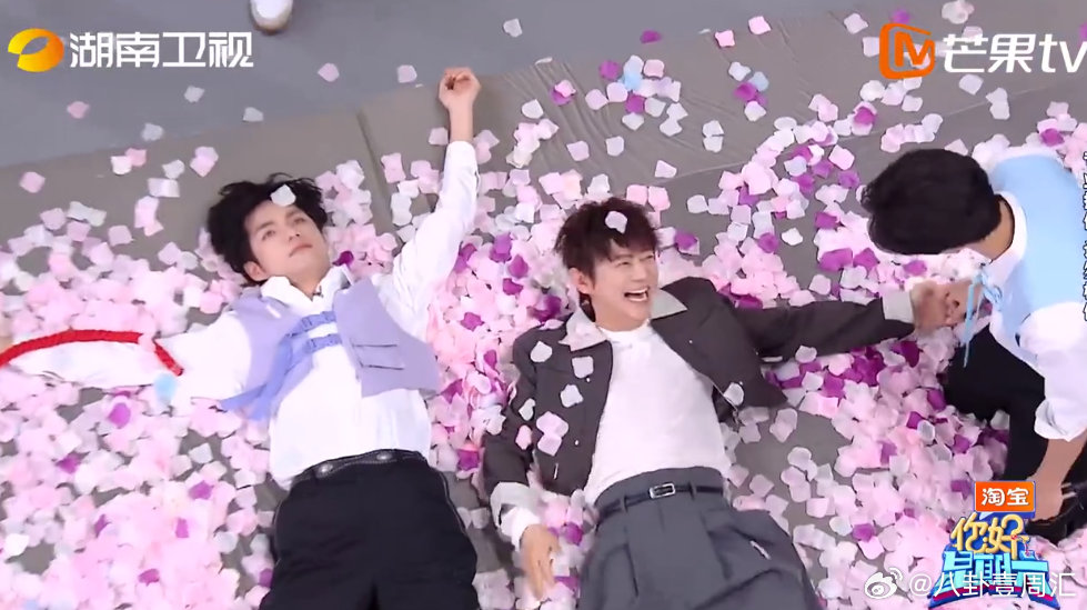 沈月滑跪给张颜齐道歉 沈月用漂亮的脸说最恐怖的话 你好星期六 沈月这波操作太绝！