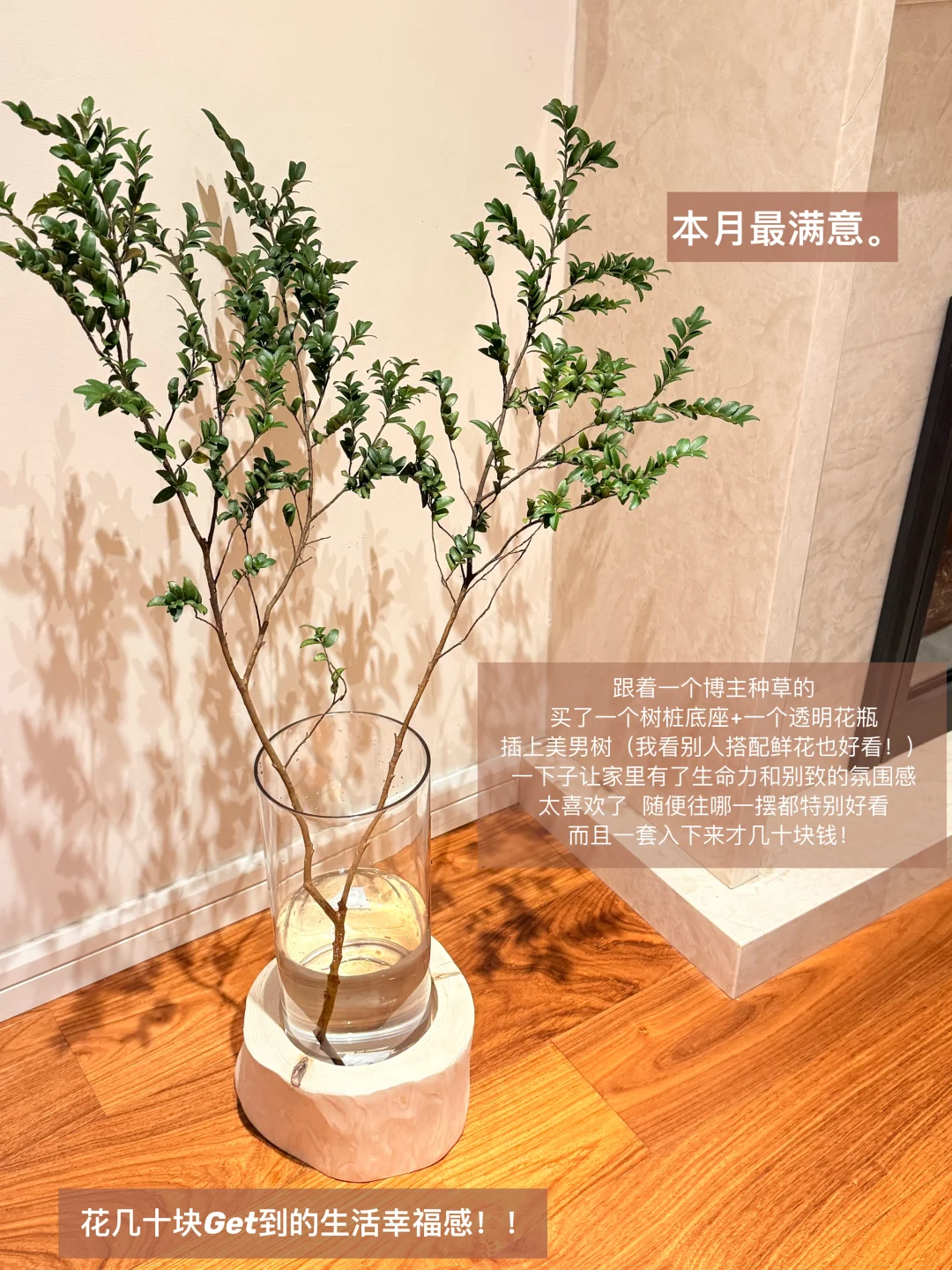 记录 仙品（一些九月满意购入