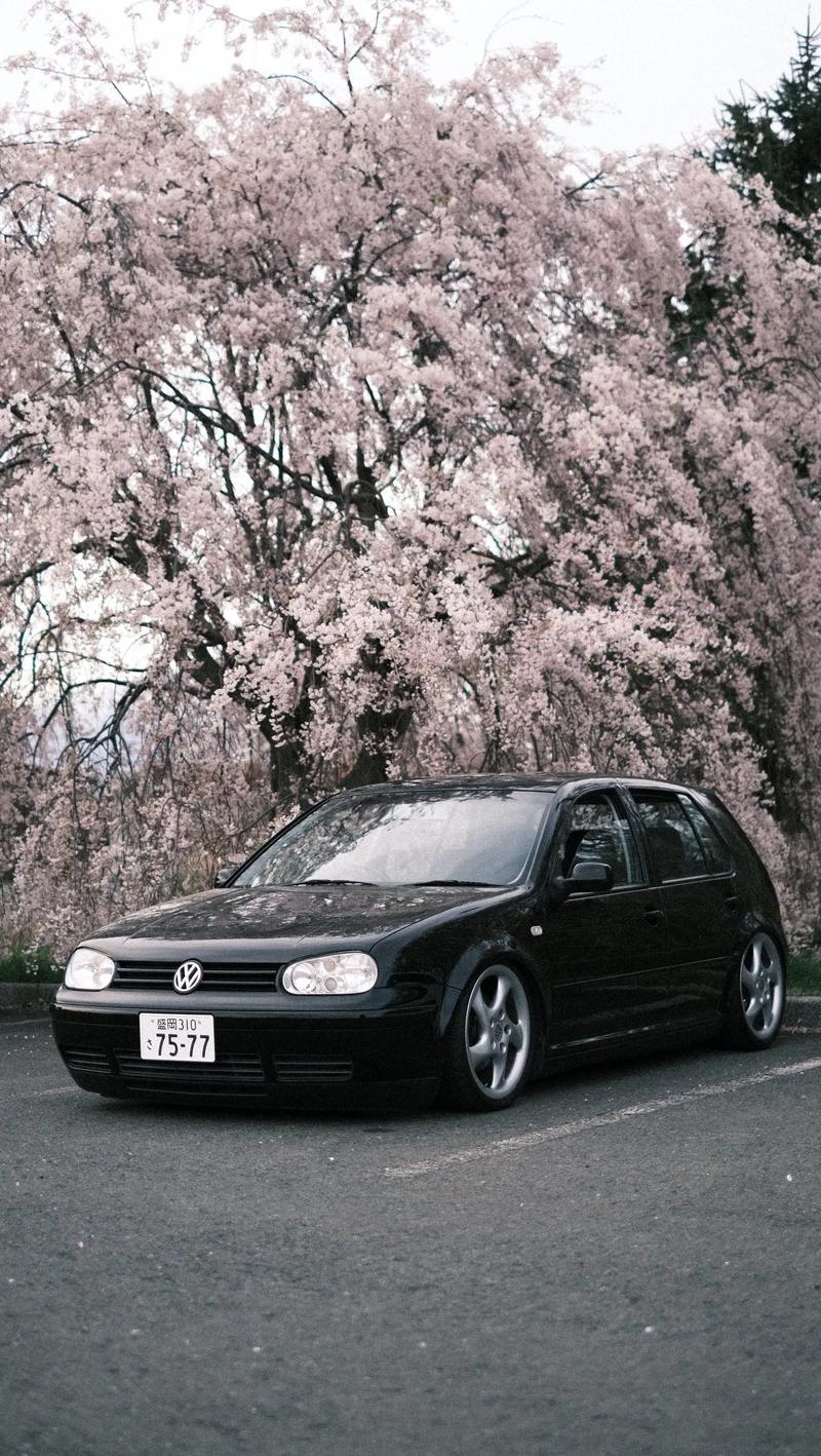 新年的计划，回归一下初心给大家整点好玩的车，有很便宜，有一般便宜的，有算下来便宜