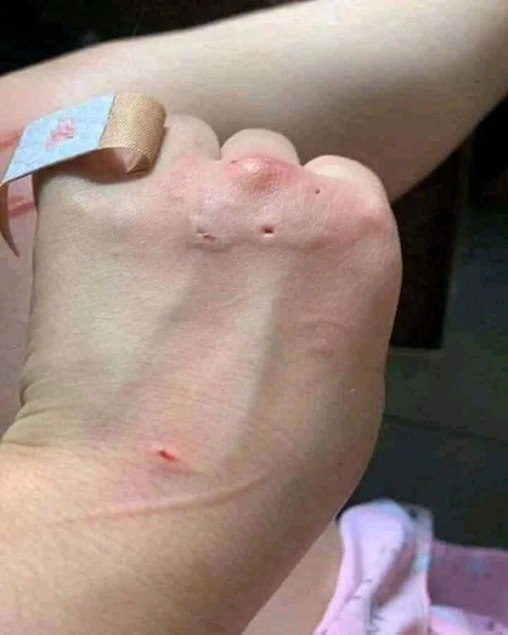 犯罪嫌疑🐱，已经落网。