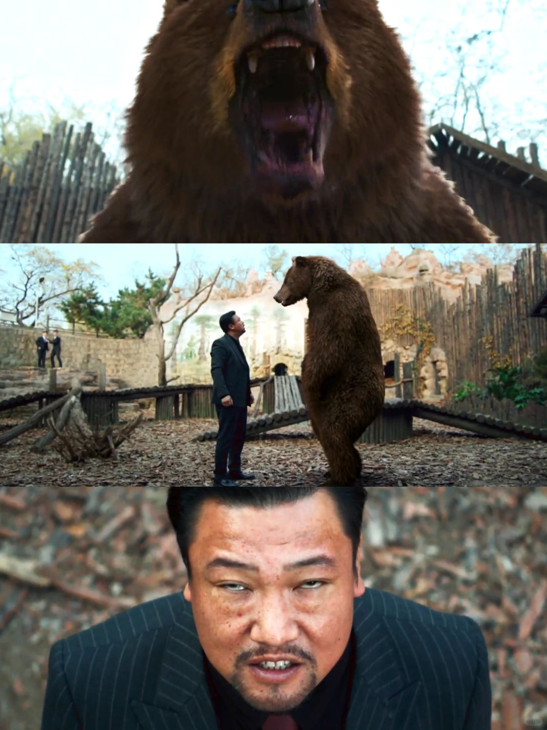 笑疯了🤣🤣发疯喜剧⁉️开年第一声爆笑