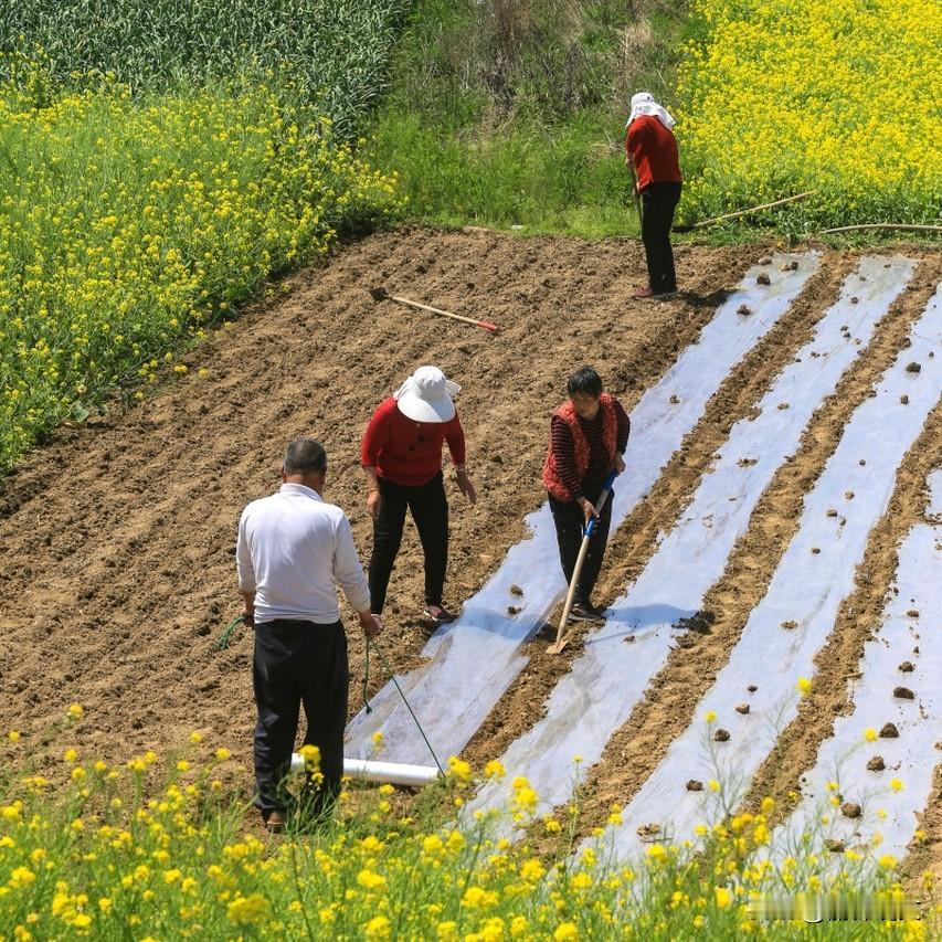 仲春二月二十五，风日暖，人安康，愿所有美好如期而至



你有没有发现，今年的春