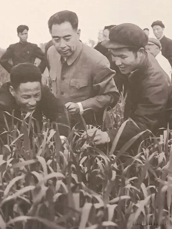 1958年12月13日，周总理、陈毅副总理视察了湖北省麻城县。
十时四十五分，总