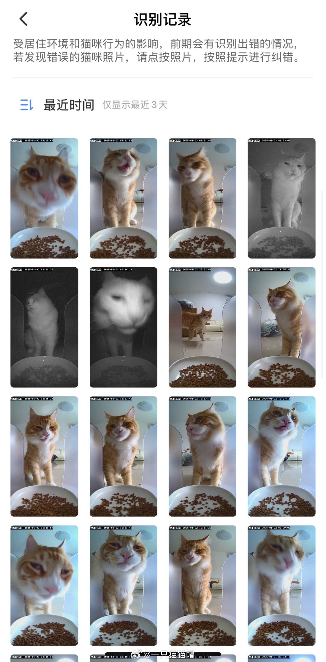 以前我觉得猫咪们长那么好看，三百六十度无死角怎么拍都挺好看的，直到我发现新买的喂