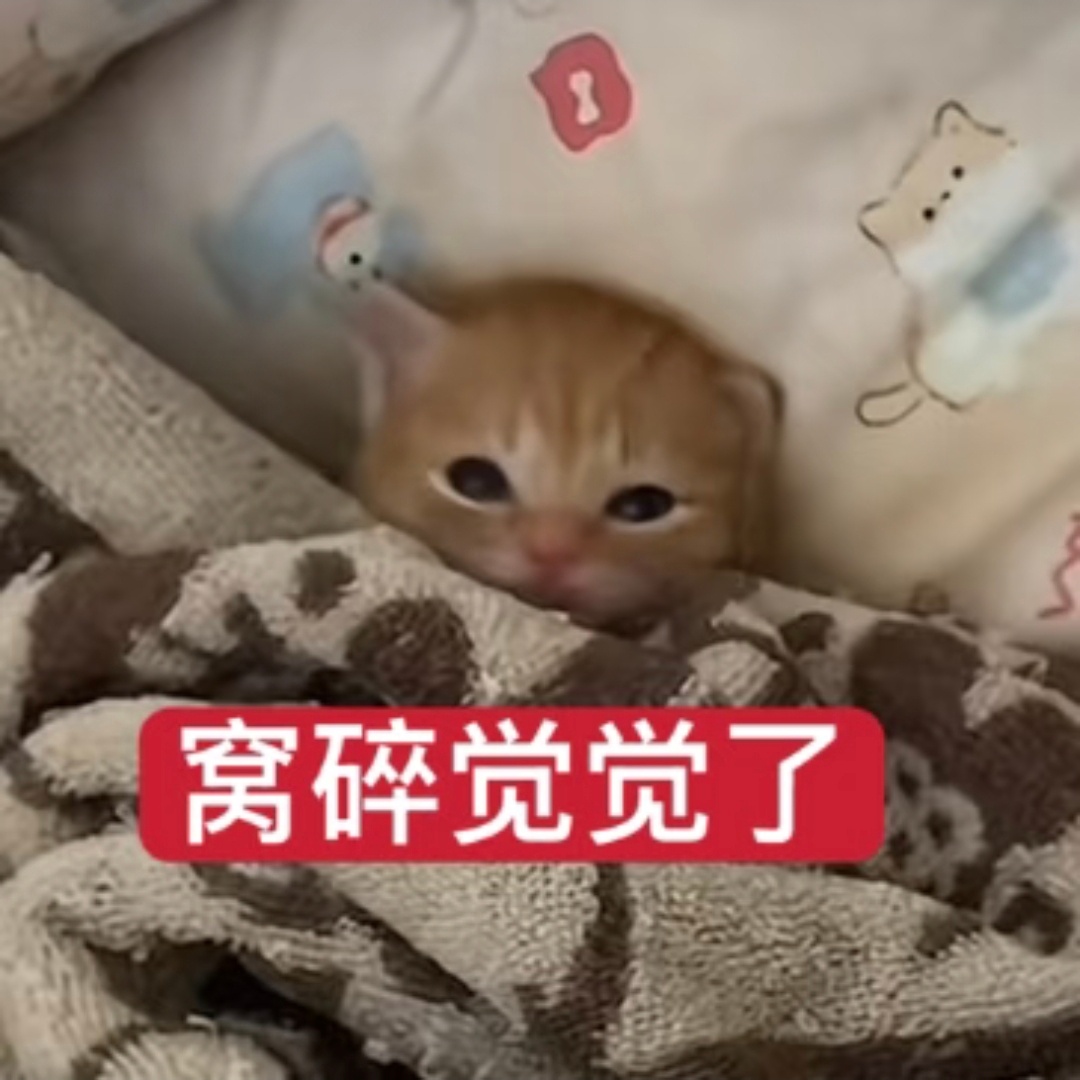 酝酿睡意，早睡早起 lucky的碎言碎语
