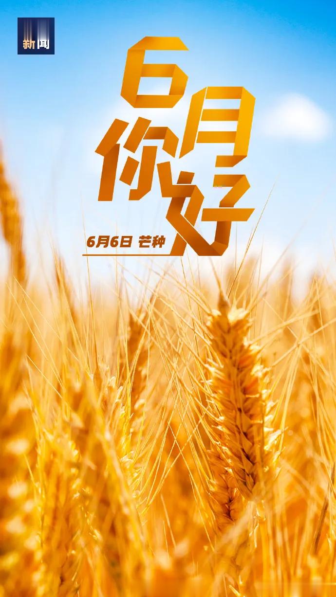 人生很长，不慌不忙风吹麦成浪，蝉鸣夏始忙你为生活奔“芒”的模样值得被岁月犒赏☕​