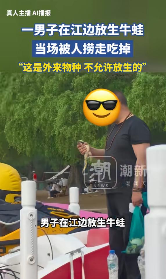 “赚大发了！”6月26日报道，黑龙江，一男子提着一袋牛蛙，把它们逐个拿出来后，嘴