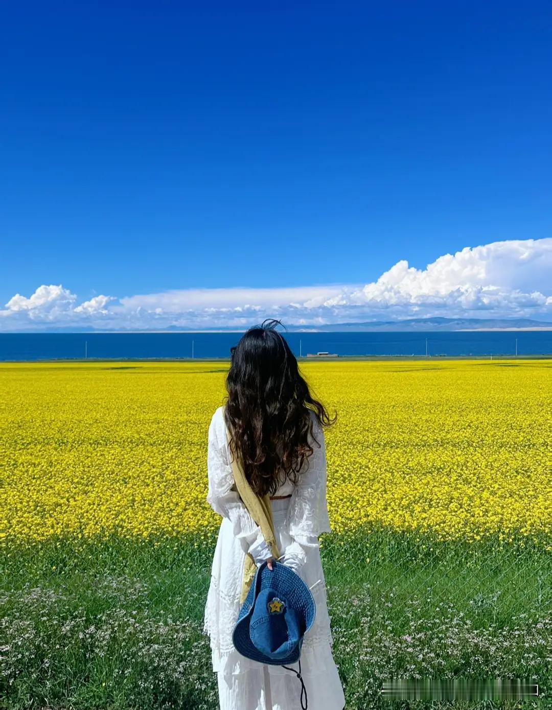 为什么父亲节总是在夏至左右过完节去收麦子