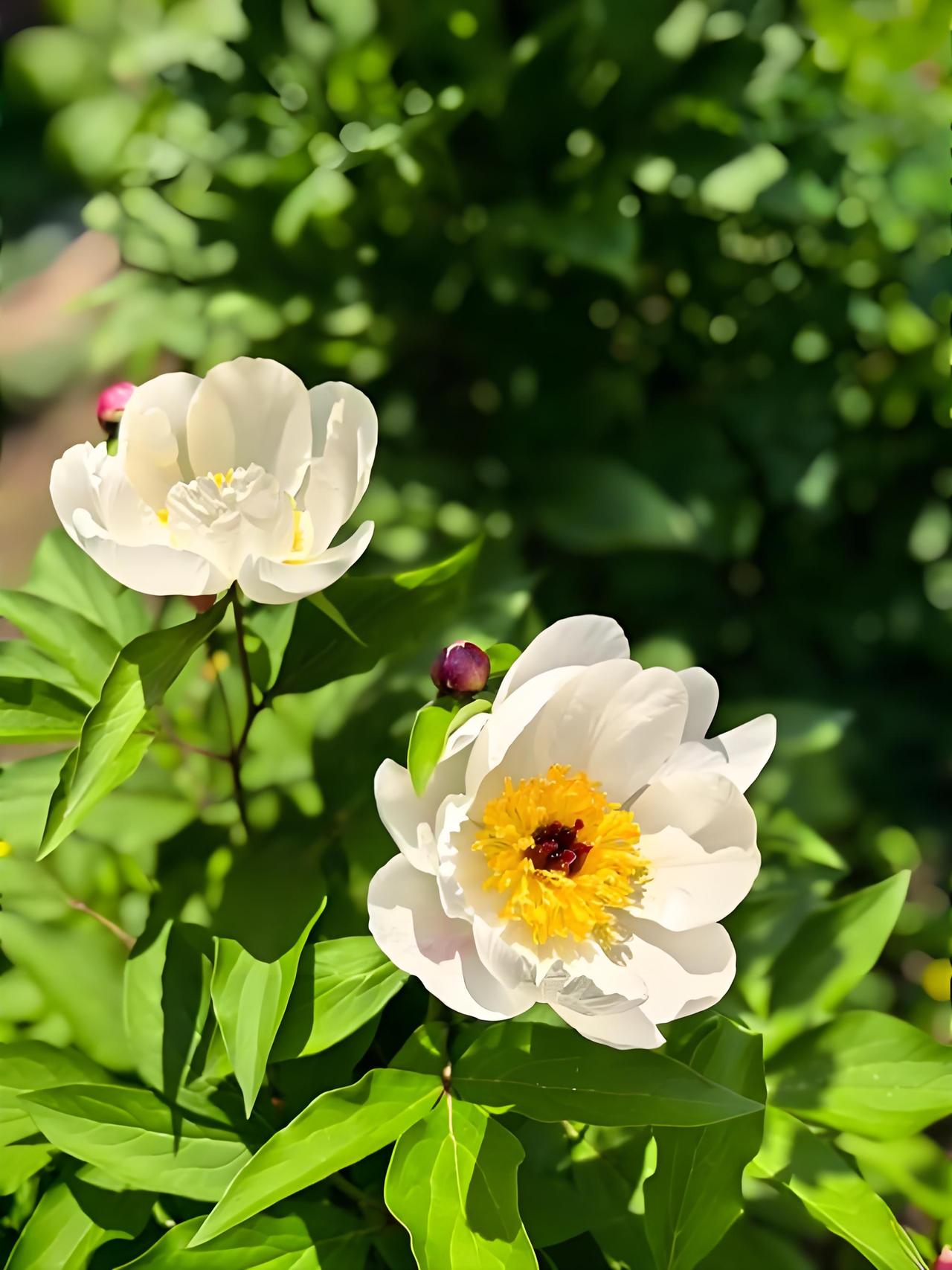 醍醐灌顶的一段话：
“很多人可能不知道，家里天天有人把地拖得干干净净、把东西归置