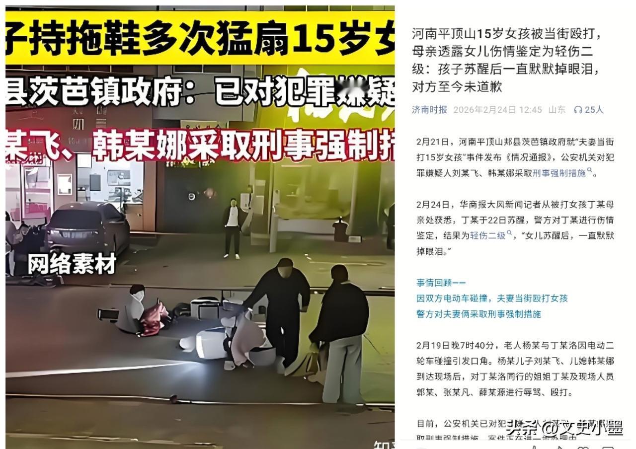 河南平顶山被殴打的15岁女孩已苏醒，二级轻伤，打人者仍未道歉！

当下女孩身心状
