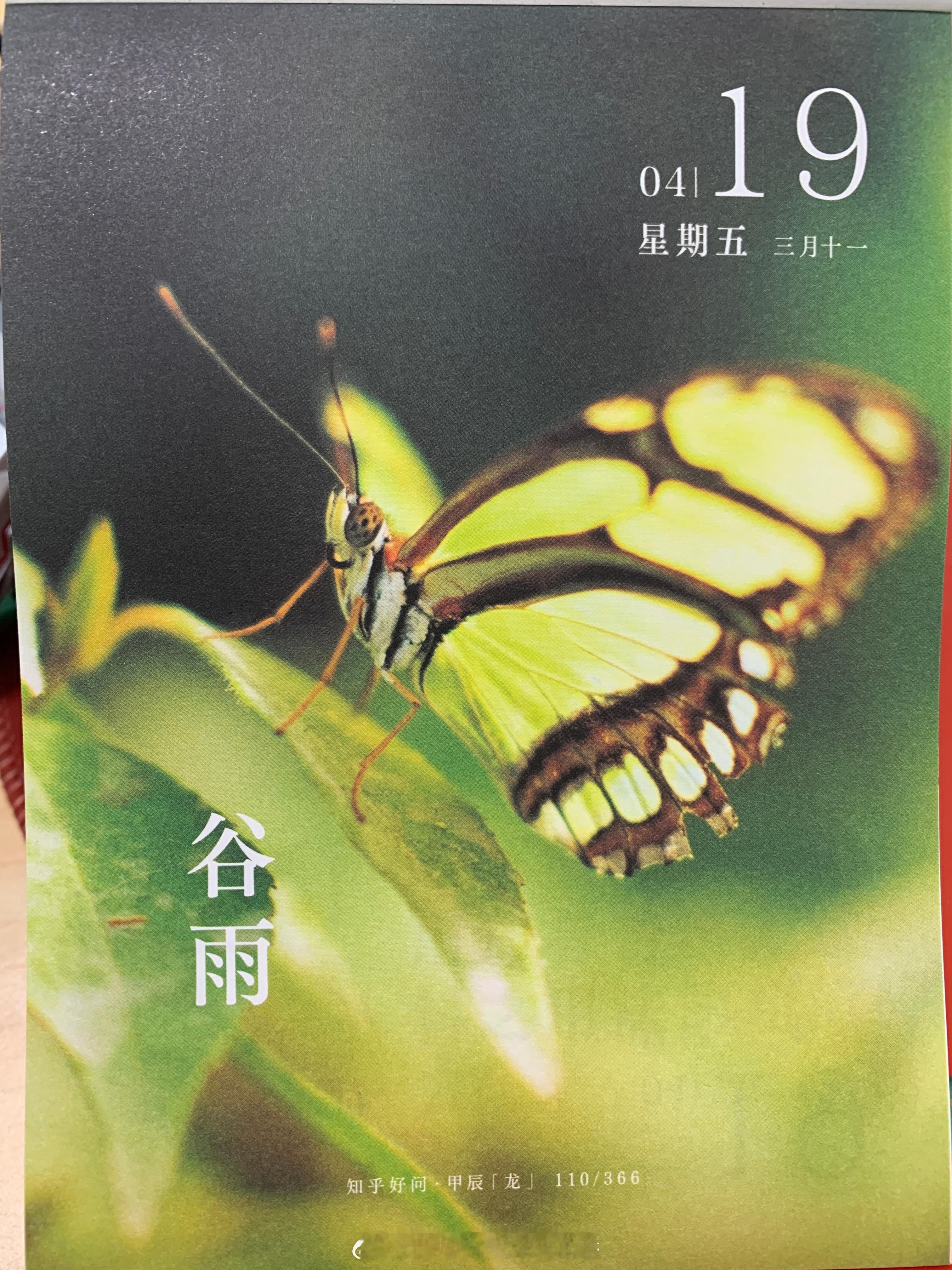 朋友们， ​​​