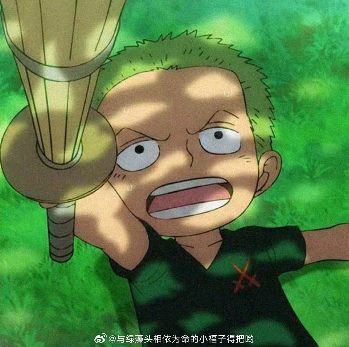 嘤嘤嘤我宝宝好可爱啊😭😭😭想养一只！！！想养一只童年小索隆…但我怎么觉得这