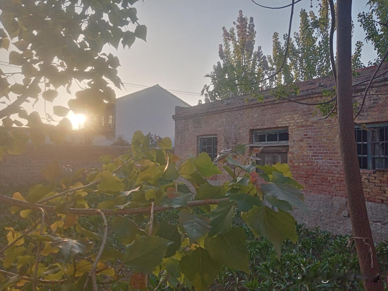 老农谚
倒春寒有没有，就看二月二十七
二月二十七天气晴，春暖平稳少寒流
晴了二月