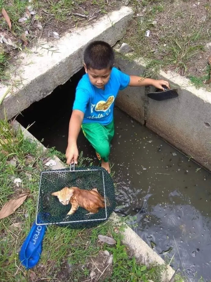 善良的孩子，为他点赞！