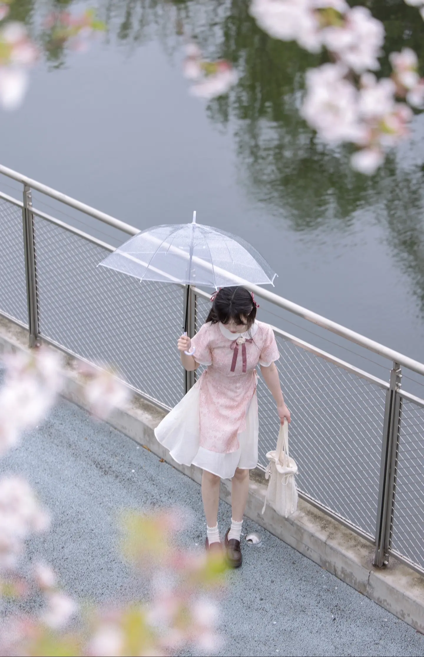 樱花樱花想见你🌸。