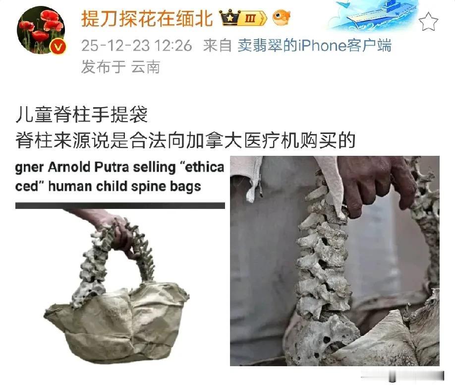 看了一下美国斩杀线的事情，这还是2025年的地球吗？有个词“迪斯科米”，就是字面