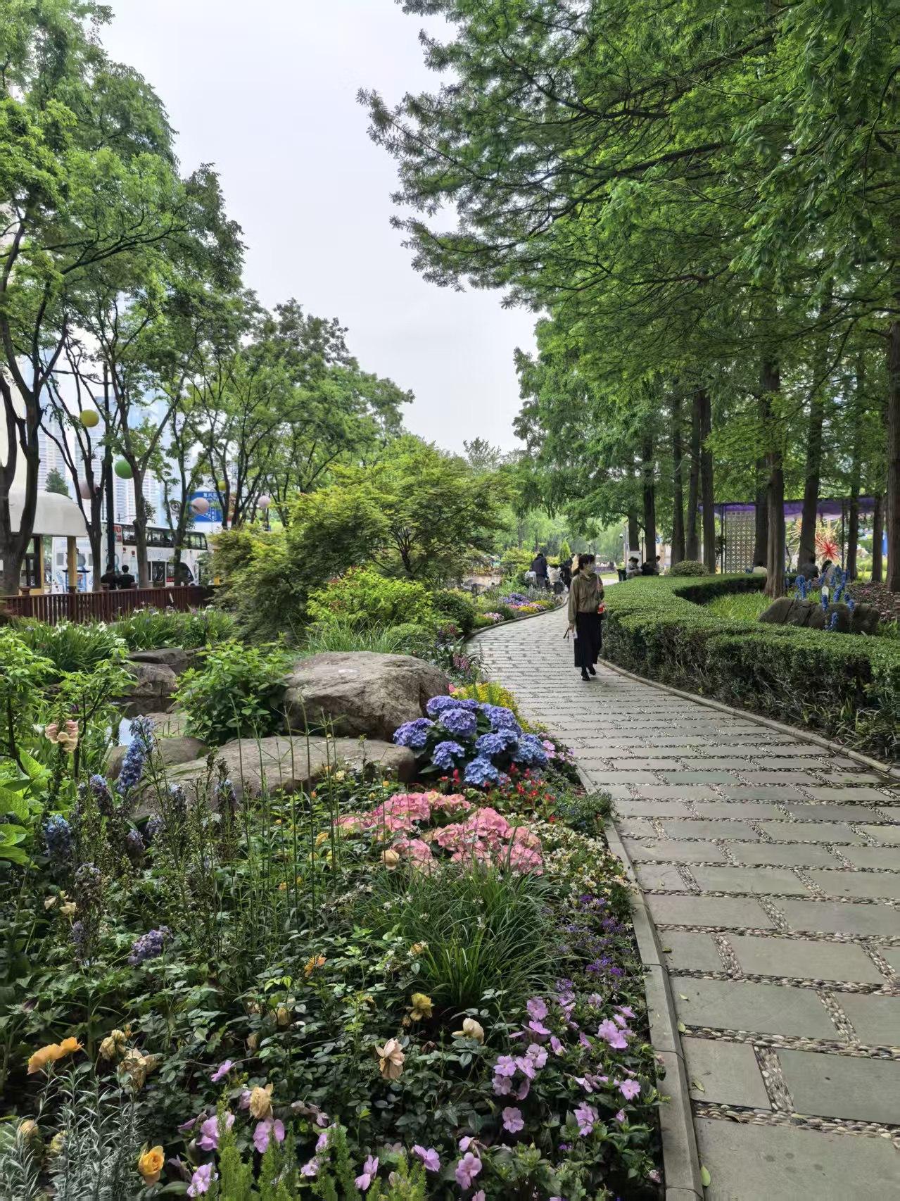 树荫遮蔽骄阳，慢走治愈所有疲惫，平凡日子也有小美好。
上海散步日常