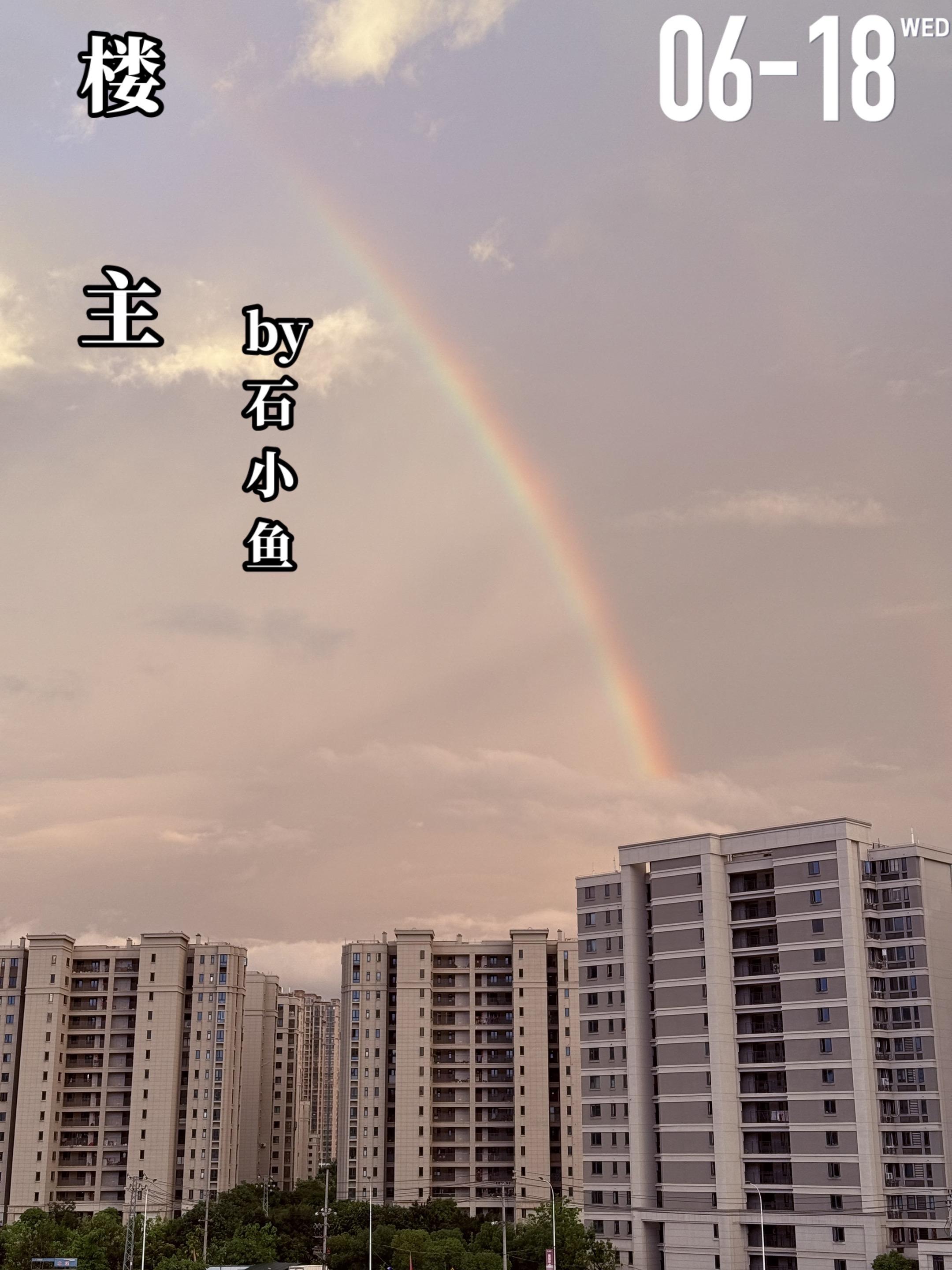 《楼主》by石小鱼。庄严（女主）在德国留学期间，因为实习而结识了梁诚...