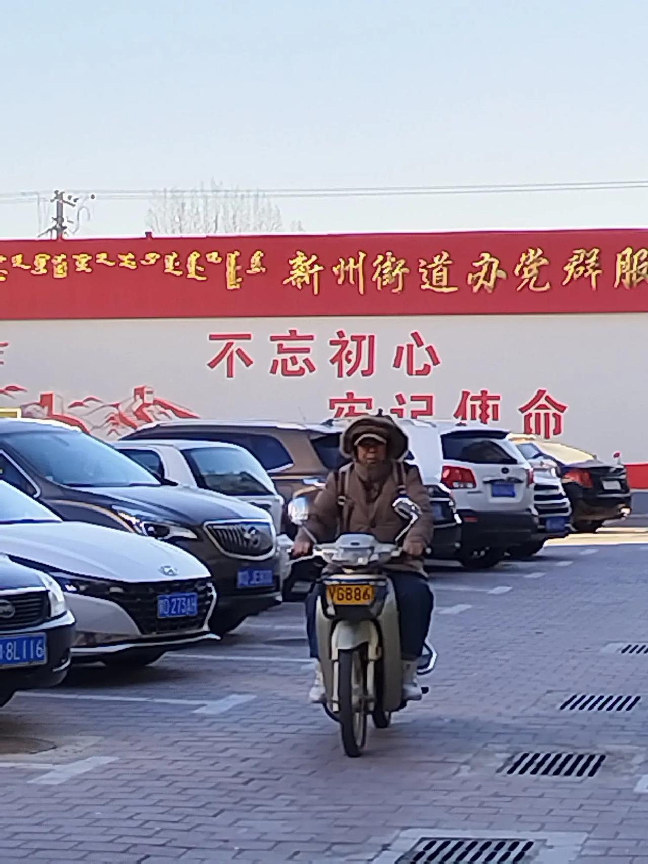 分享独特瞬间不仅可能启发他人，还能为其带来新的感悟。新年纳余庆。