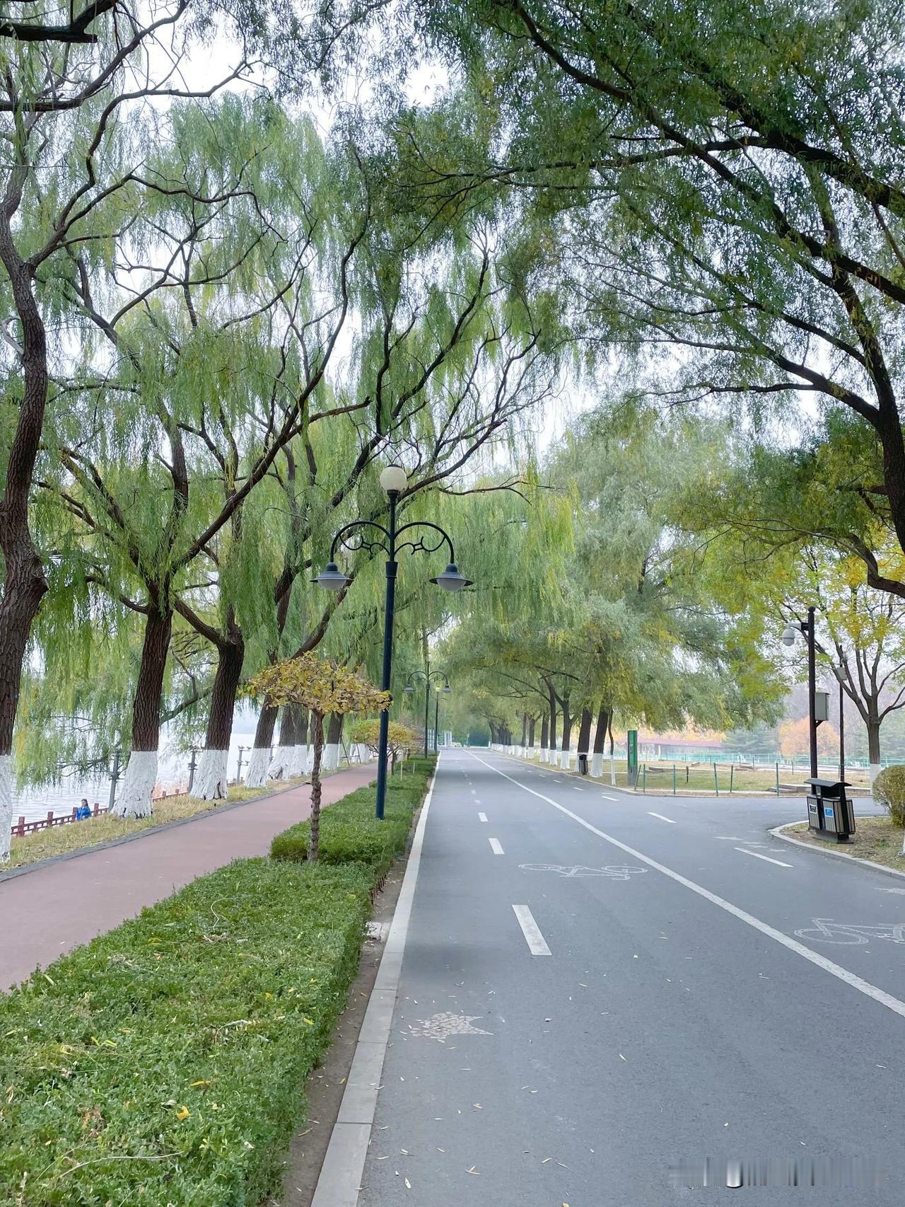 每一个季节都有它的韵味，沈阳的秋天也充满了诗意，漫步这里，感受岁月的厚重与宁静，
