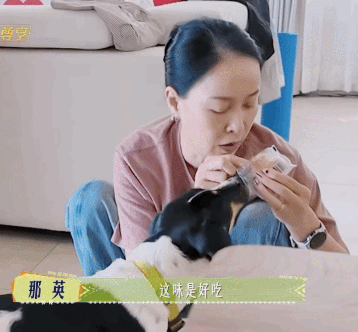 那英训狗英子国外训狗太圈粉！吐槽挑食超接地气，指令又超干脆，这反差萌太绝了！ ​