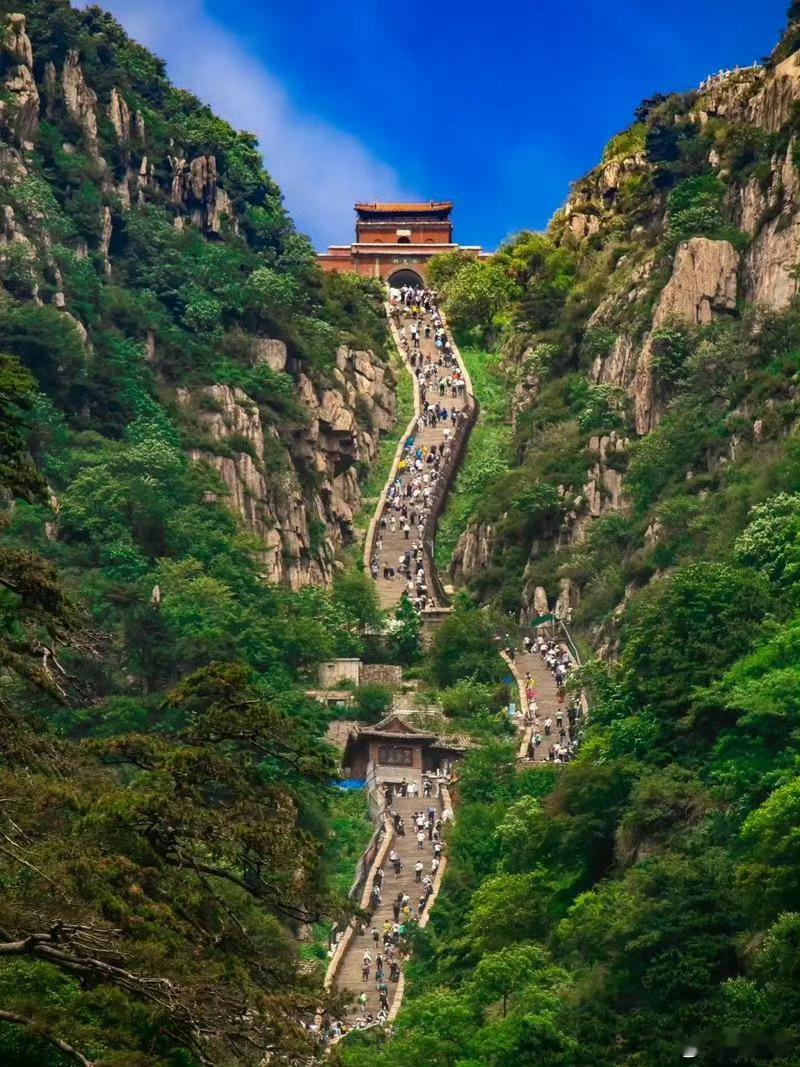 好品山东以前总觉得山东制造代表的是踏实、靠谱，最近才发现，山东早已经不只是传统工