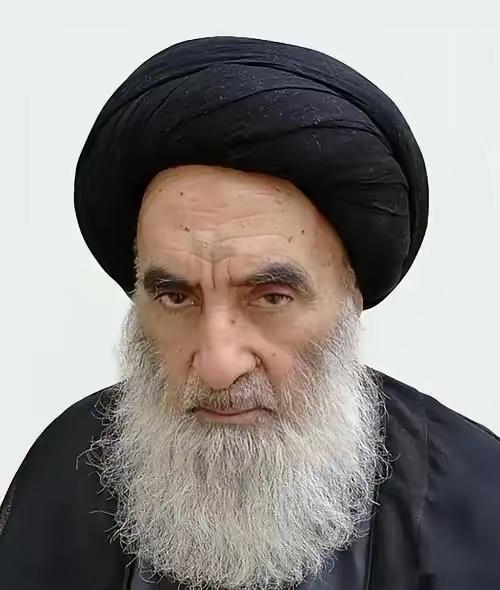 绝对有有内鬼，
要么能这么轻易的炸死哈梅内伊和内贾德吗？
伊朗现在很难，
被美国