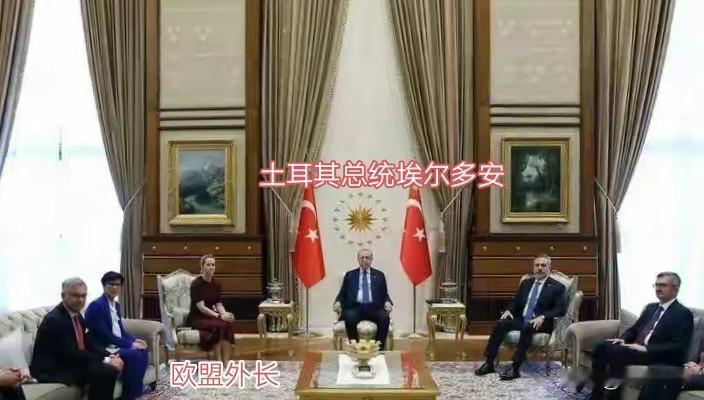 如此安排已成为外交惯例，国家元首或政府首脑会见外国部长级别的事务性官员时，本国领