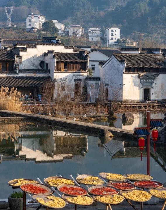 男子被排水口吞噬，十多人死命拽回
亲爱的朋友们大家好，我是海林小百科，今天我们来