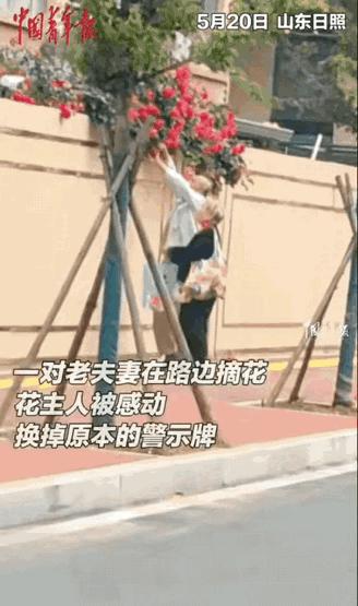 这才是该有的温度！山东日照，女子在院子中的花探出墙头，就在墙上来了个警示牌，但看