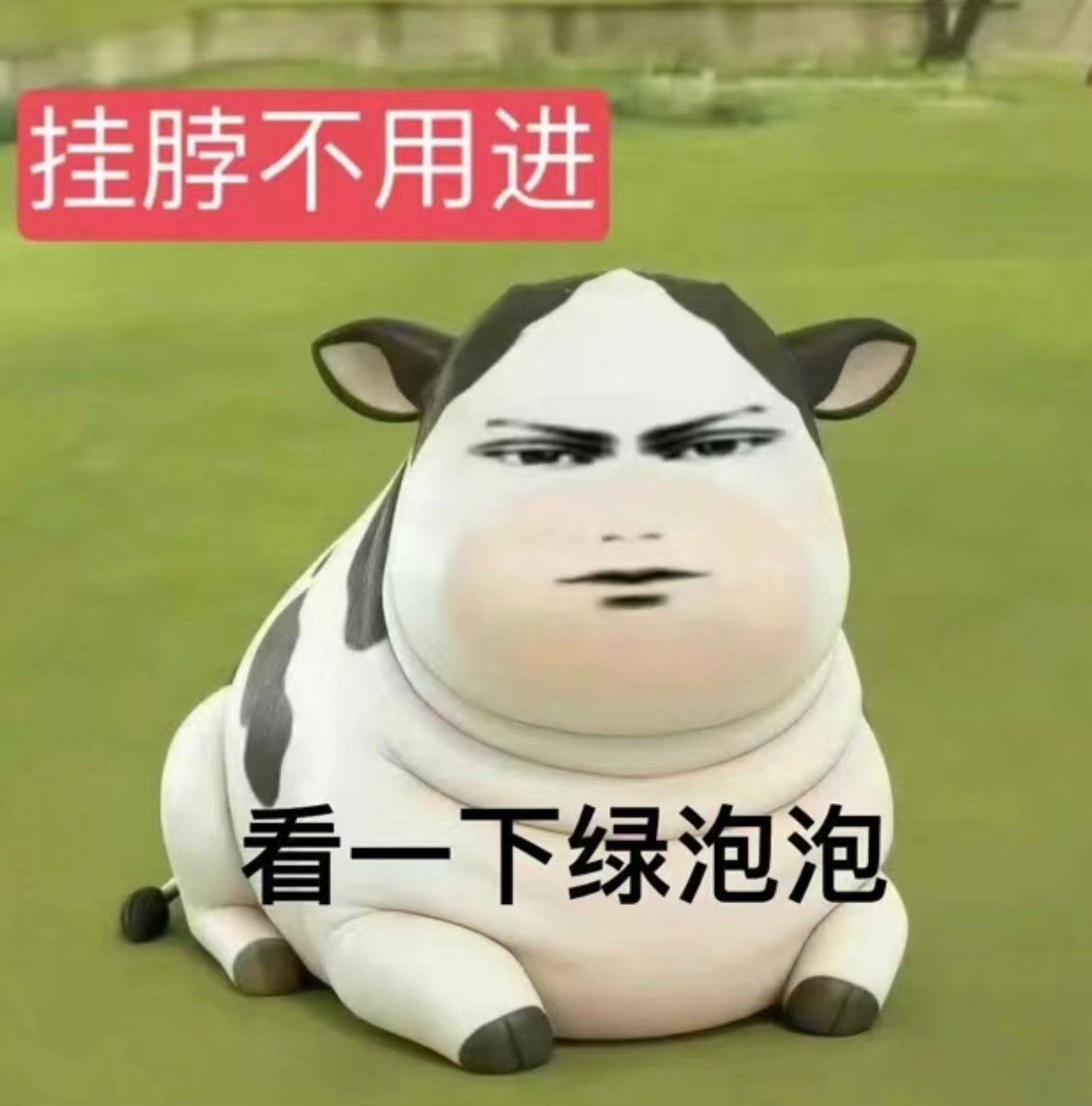 我发现清则无鱼这头死㊗️真是给脸不要脸 舍友最近怎么样了？ 