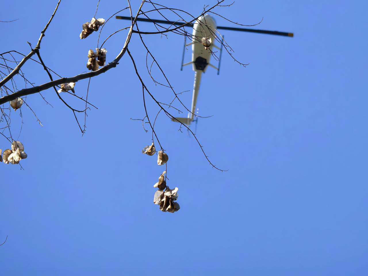 景区观光直升机，六百一次，10分钟左右！值不值？直升机