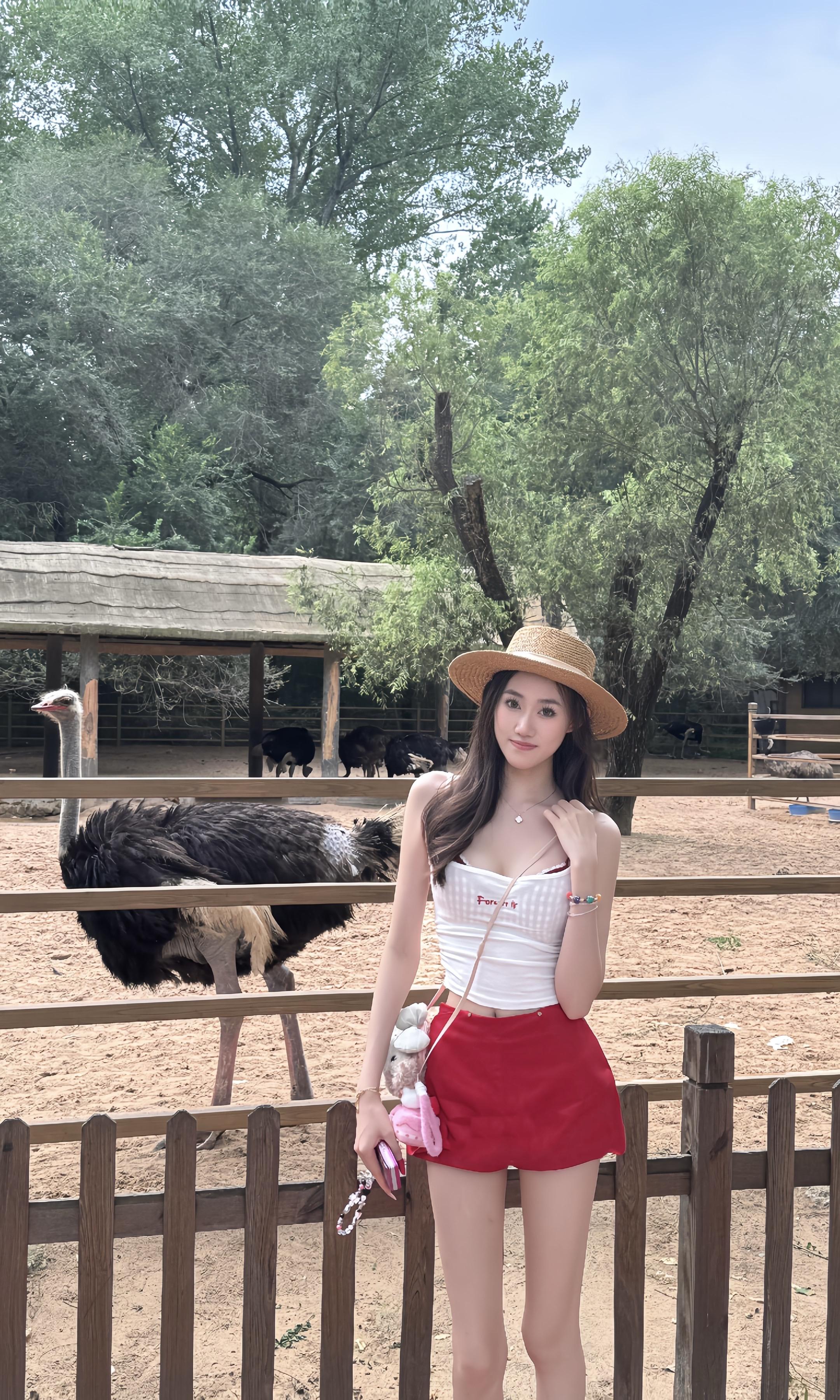 动物园里有什么