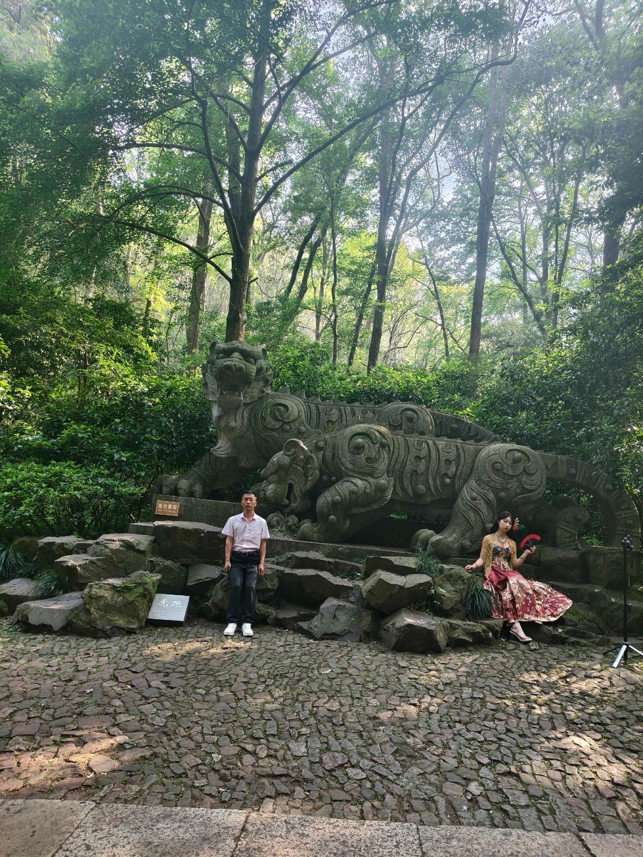 花开处处美