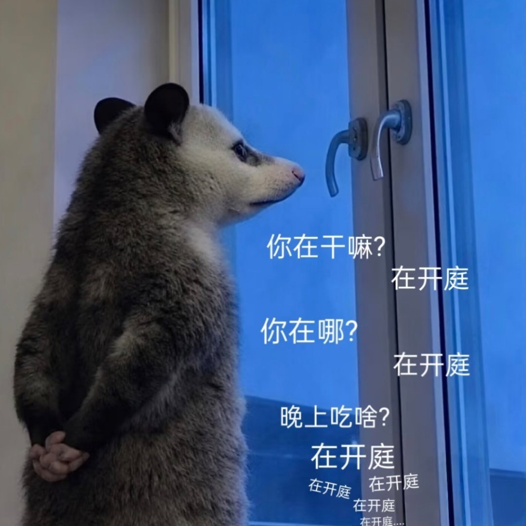我每天be like： 